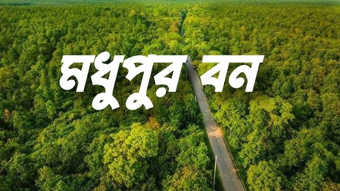 মধুপুরের আদিবাসীদের বিরুদ্ধে বন আইনের ৮৮ মামলা প্রত্যাহার