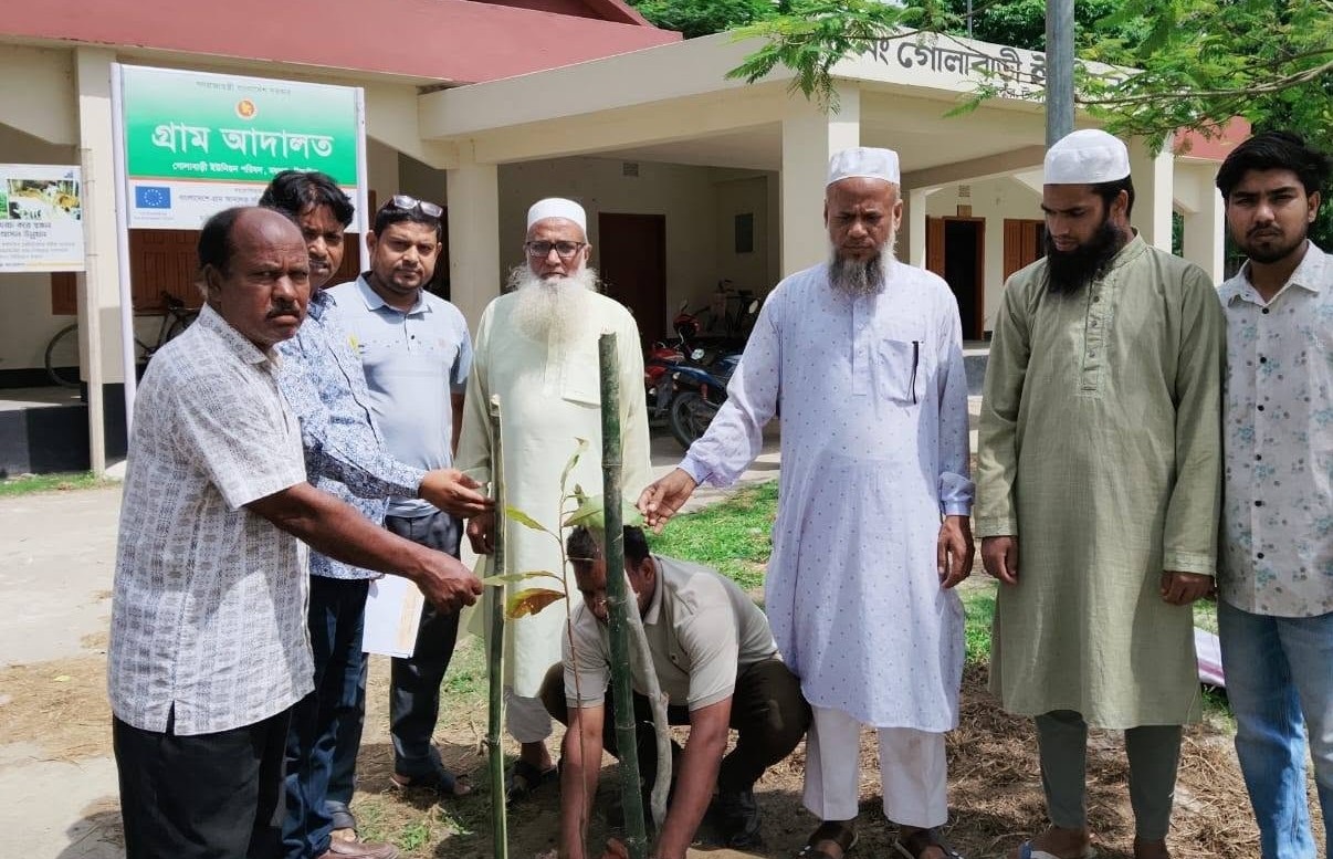 নবজাগরণ সমাজ সেবা সংঘের বৃক্ষ রোপণ কর্মসূচি
